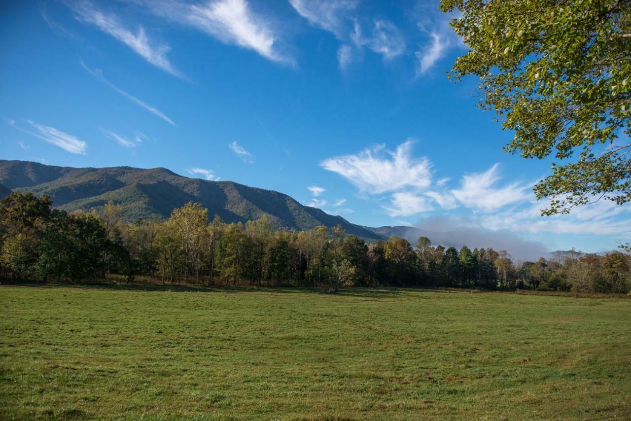 Вилла Bearfoot Retreat Waldens Creek Экстерьер фото